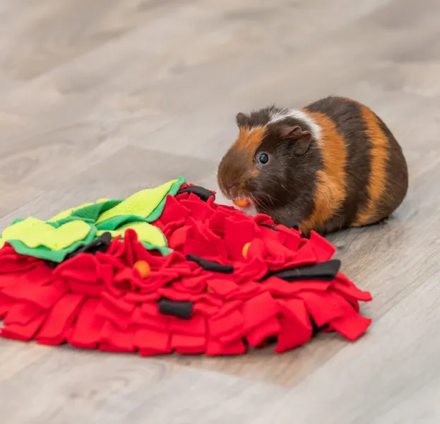 Preview: Schnüffelteppich